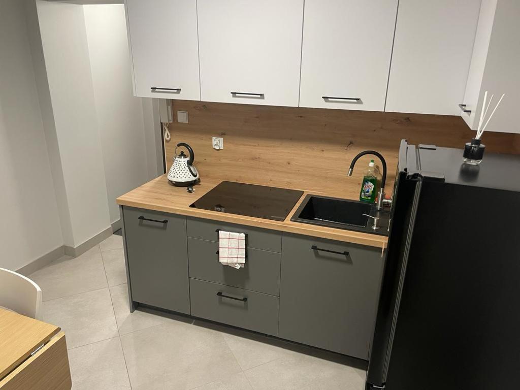 Center Apartment Chorzow